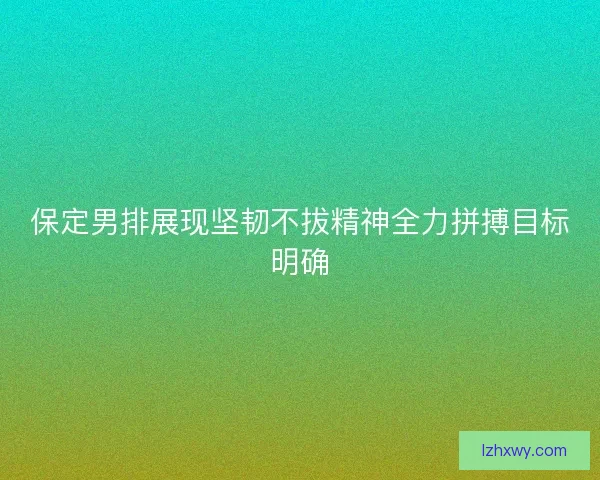 保定男排展现坚韧不拔精神全力拼搏目标明确